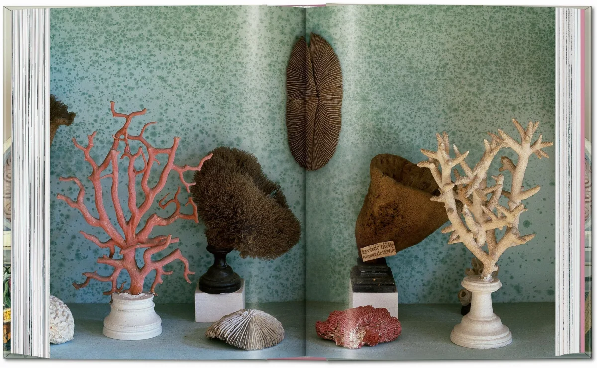 Massimo Listri. Cabinet of Curiosities. 40th Ed.