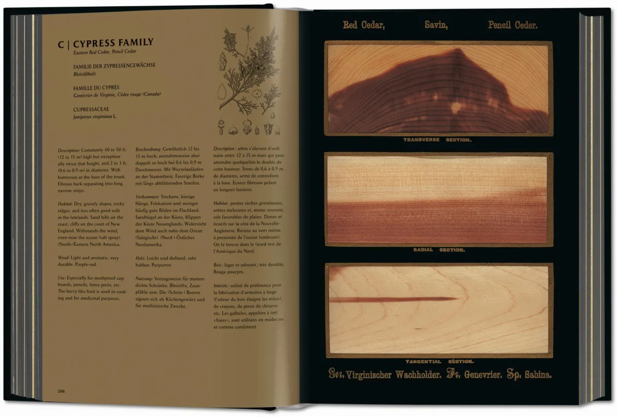 Romeyn B. Hough. The Woodbook. The Complete Plates