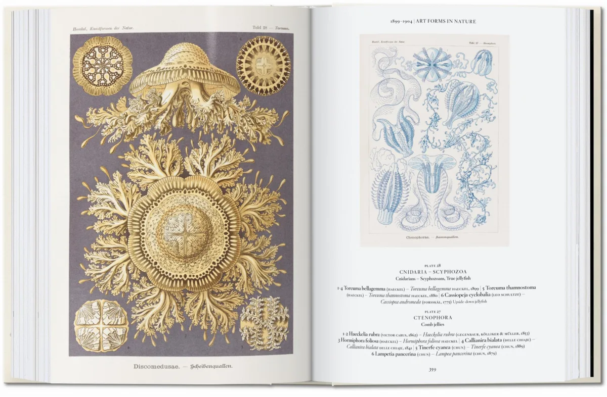 The Art and Science of Ernst Haeckel. 45th Ed.