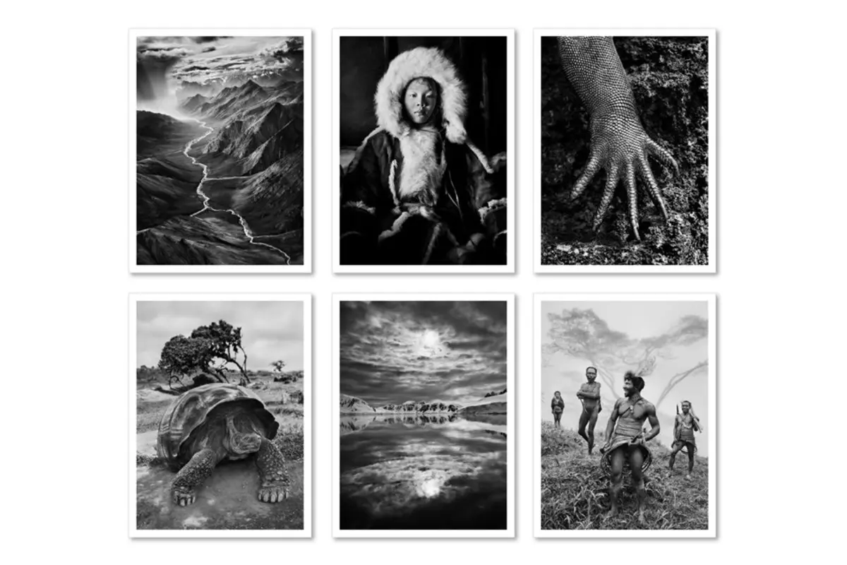 Sebastião Salgado. Genesis. Postcard Set