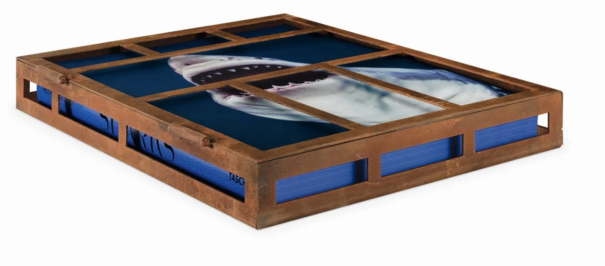 Michael Muller. Sharks