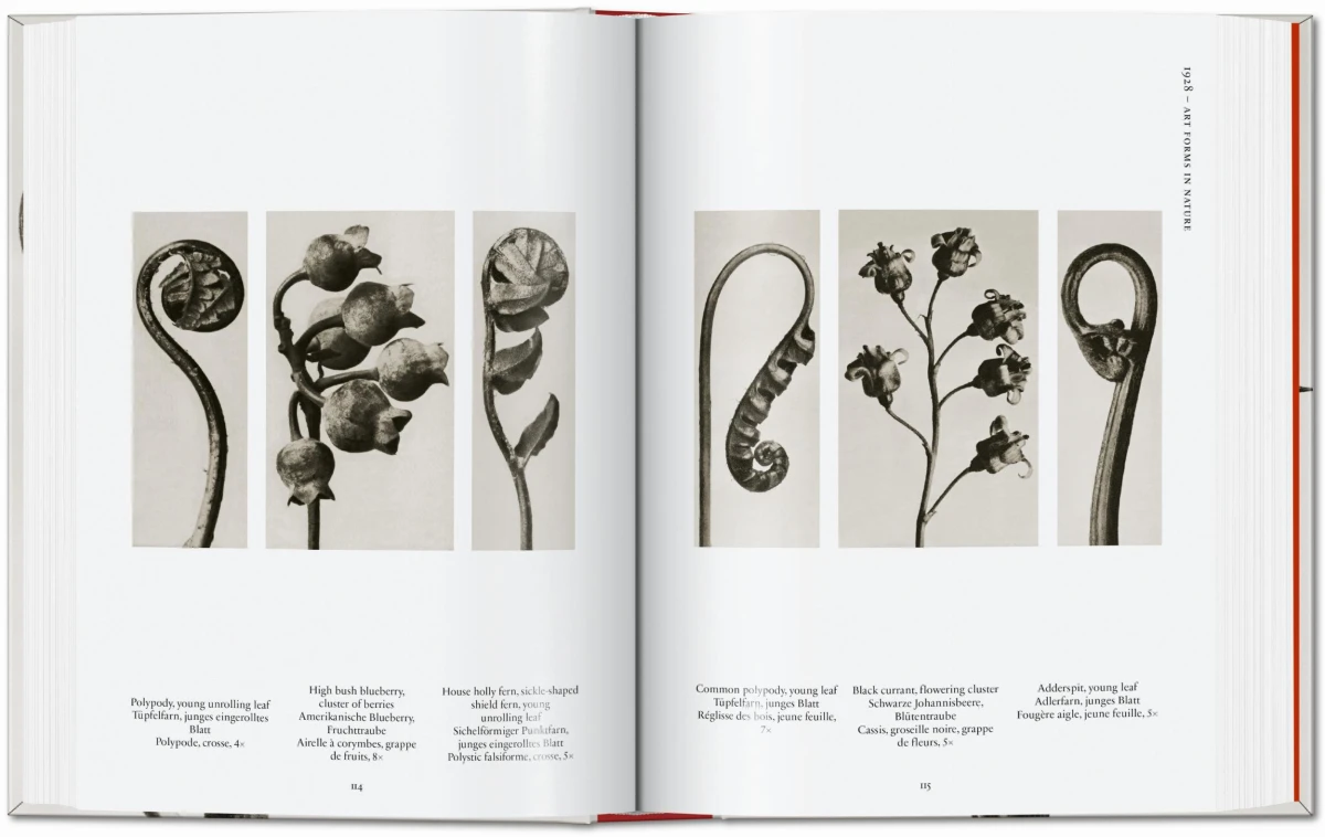 Karl Blossfeldt. The Complete Published Work. 45th Ed.