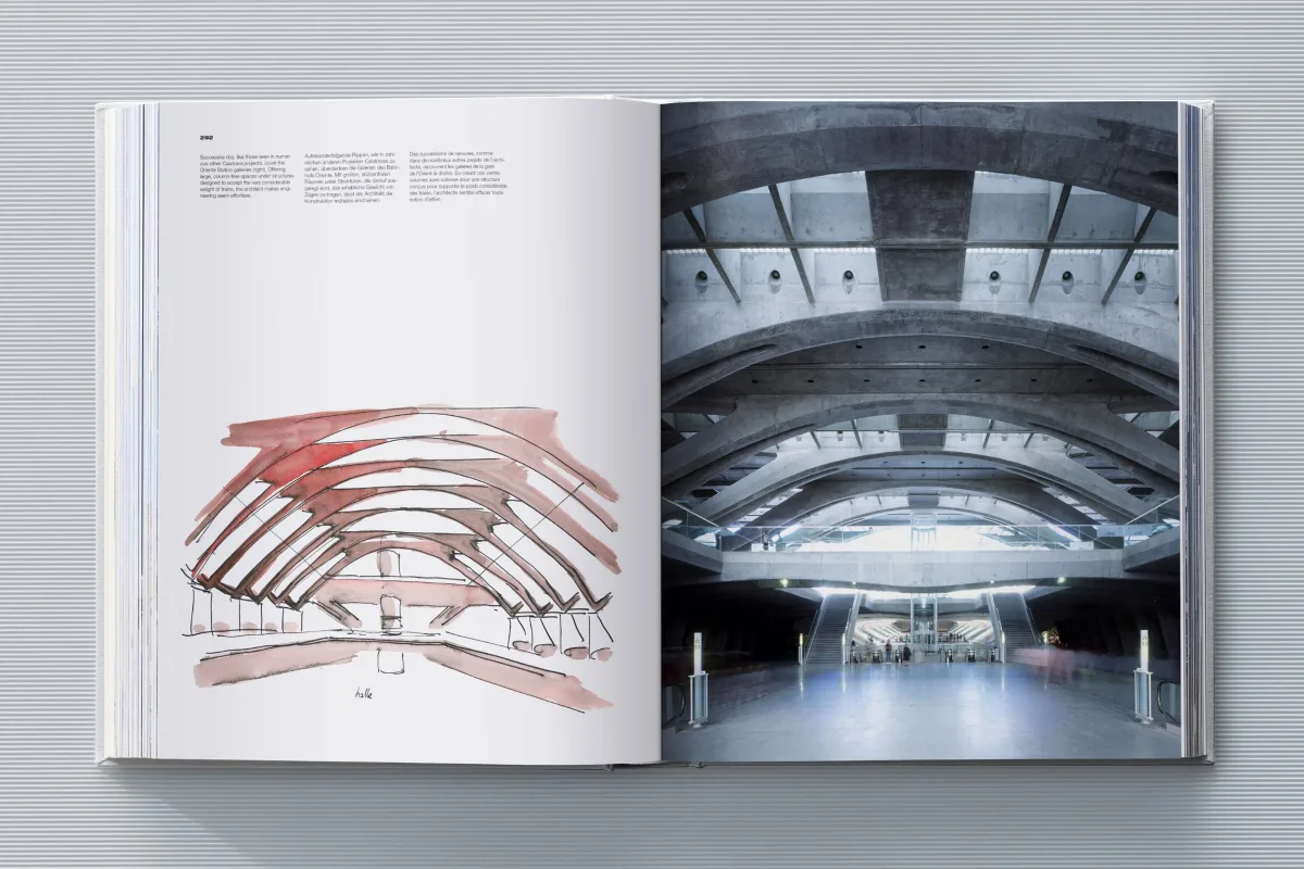 Calatrava. Complete Works 1979–Today. Art Edition 'Transfigured Tree. Messenger of Light', 2023