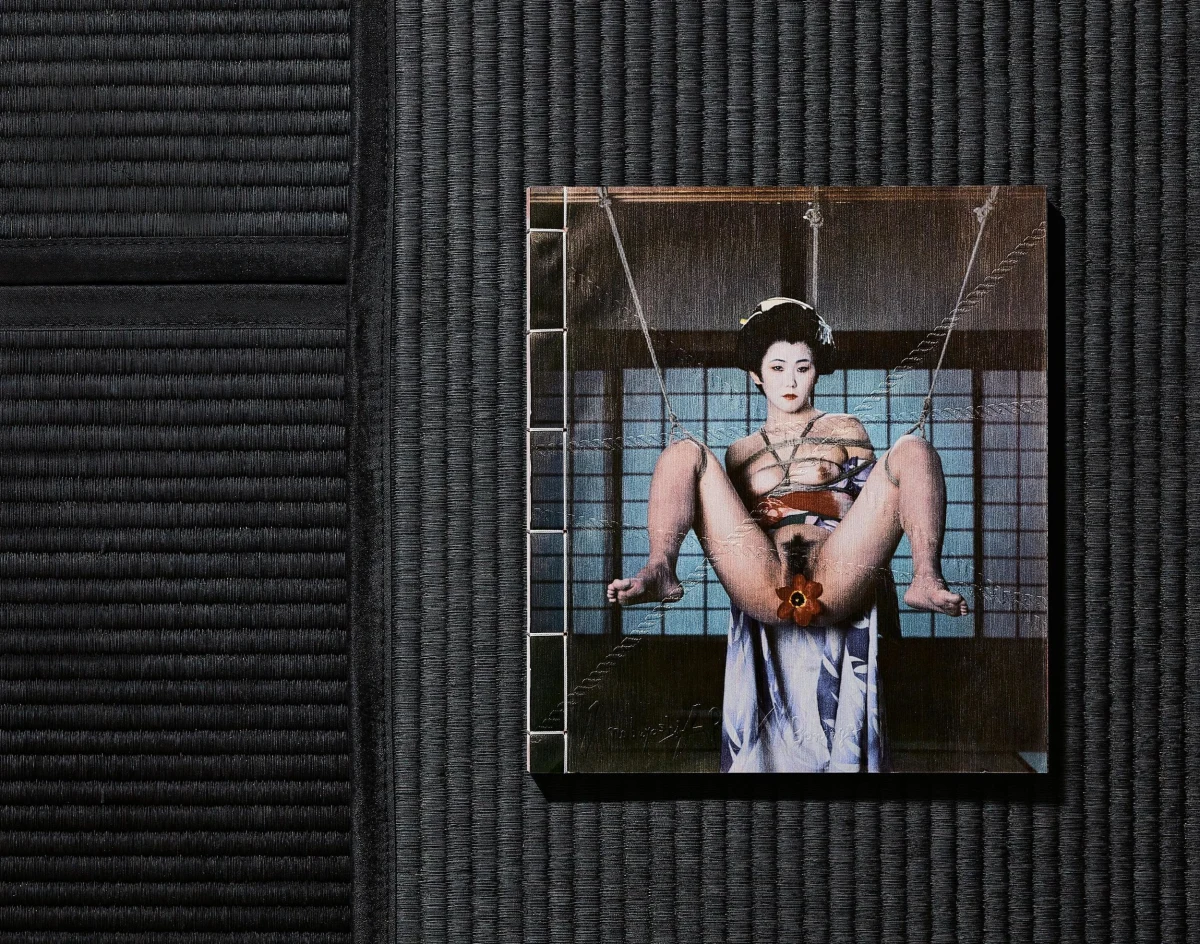 Araki. Bondage