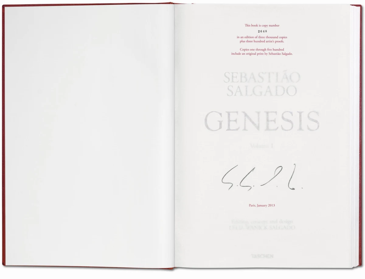 Sebastião Salgado. Genesis. Art Edition No. 201–300 ‘Black-Browed Albatrosses, Falkland Islands’