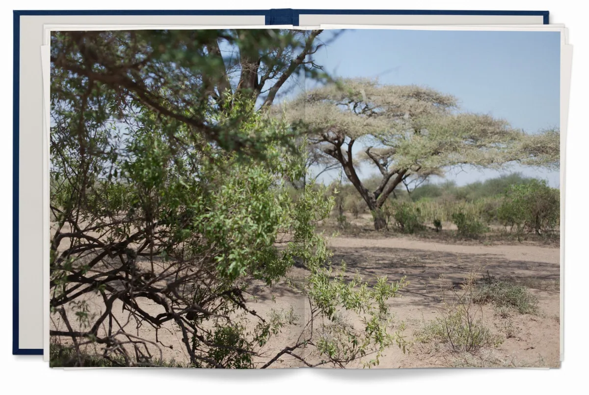 Wolfgang Tillmans. Neue Welt, Art Edition