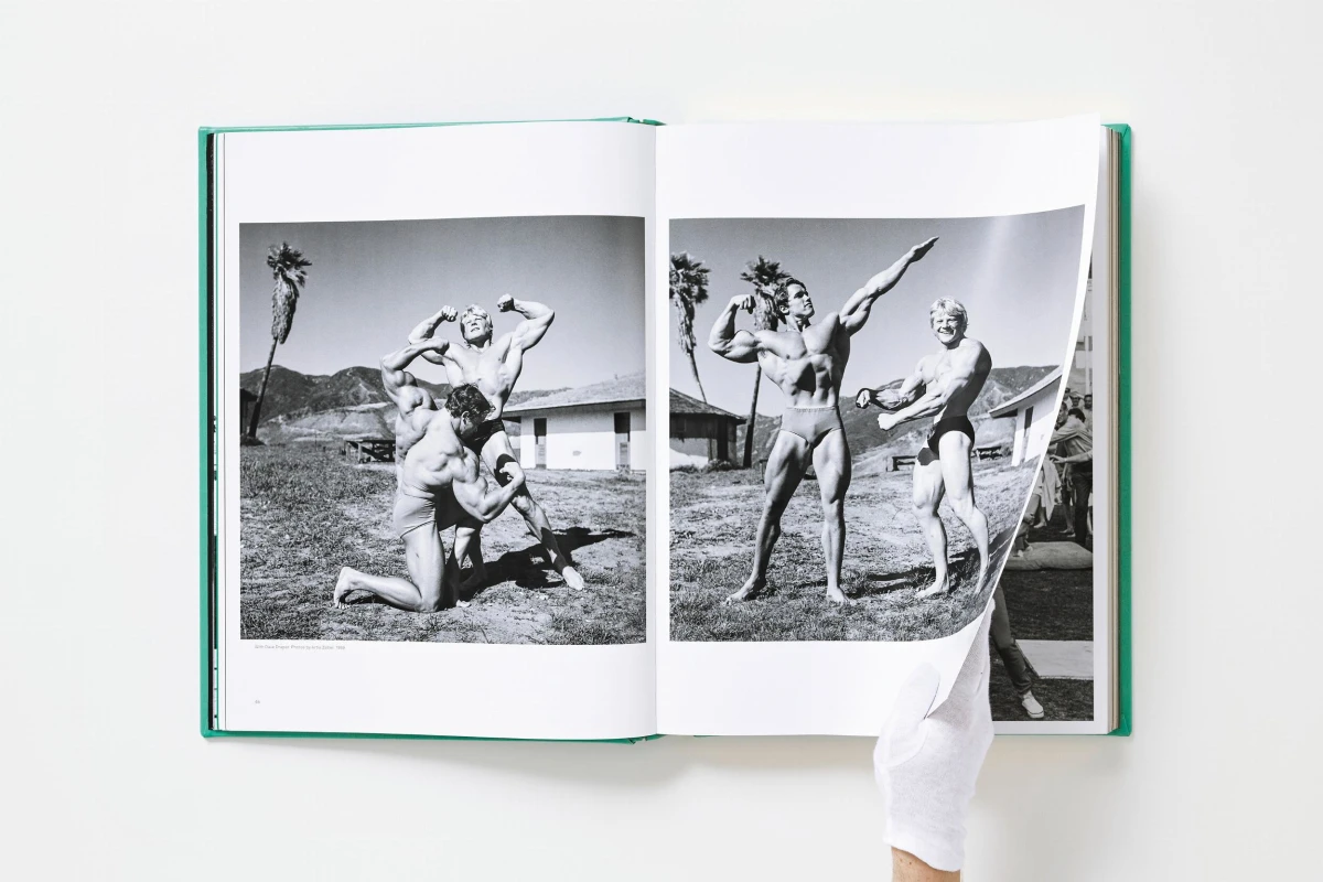 ARNOLD. Capitello Edition