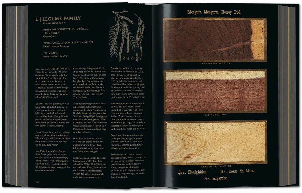 Romeyn B. Hough. The Woodbook. The Complete Plates