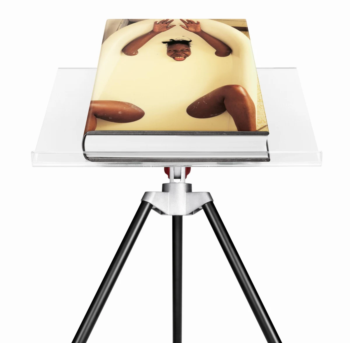 Annie Leibovitz. Art Edition