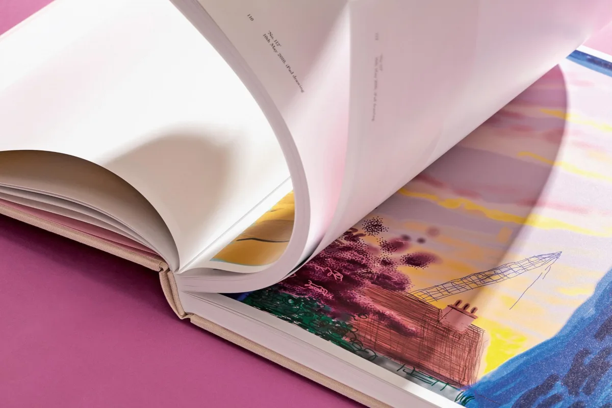 David Hockney. My Window. Art Edition (No. 251–500) ‘No. 281’. 23rd July 2010