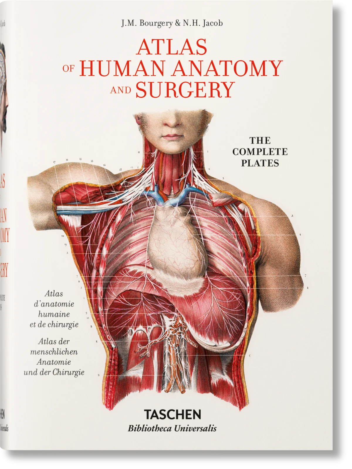 Bourgery. Atlas of Human Anatomy and Surgery