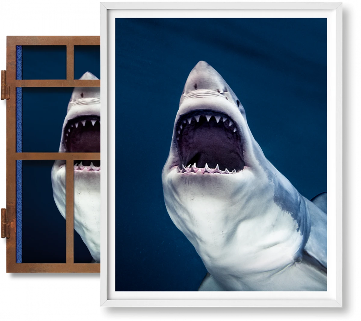 Michael Muller. Sharks, Art Edition No. 1–100 ‘Tear You Apart’