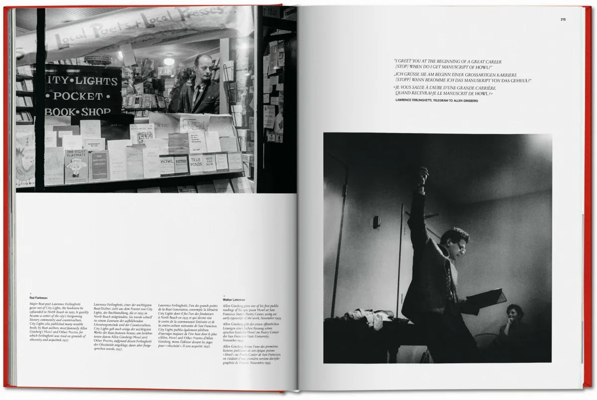 San Francisco. Portrait of a City, Art Edition No. 76–150 'Seagull over Golden Gate Bridge, early 1950s'