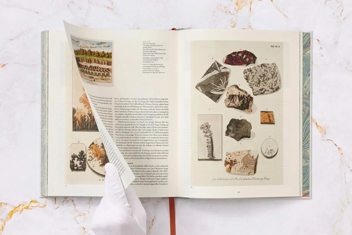 Jan Christiaan Sepp. The Book of Marble