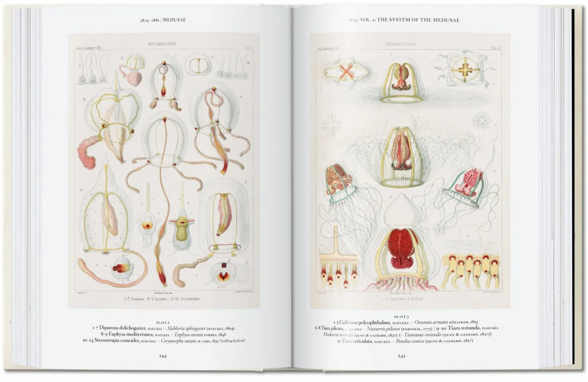 The Art and Science of Ernst Haeckel. 45th Ed.