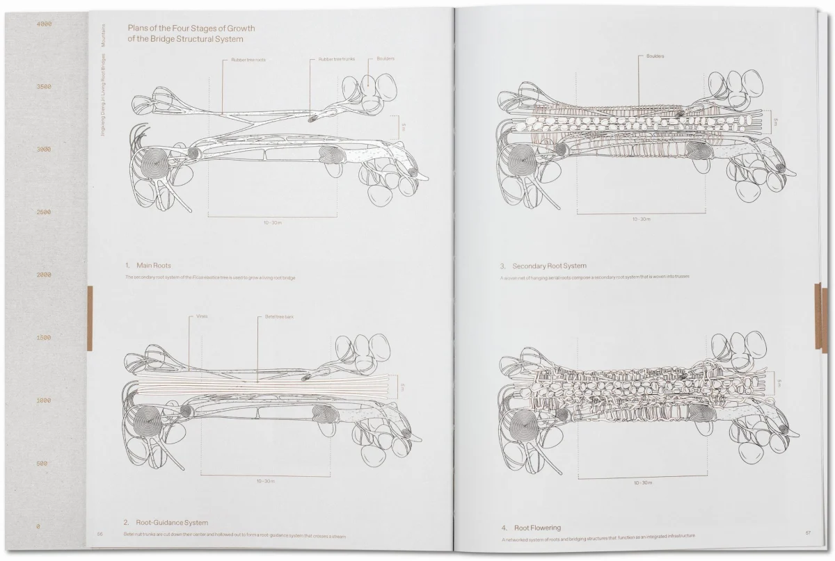 Julia Watson. Lo—TEK. Design by Radical Indigenism