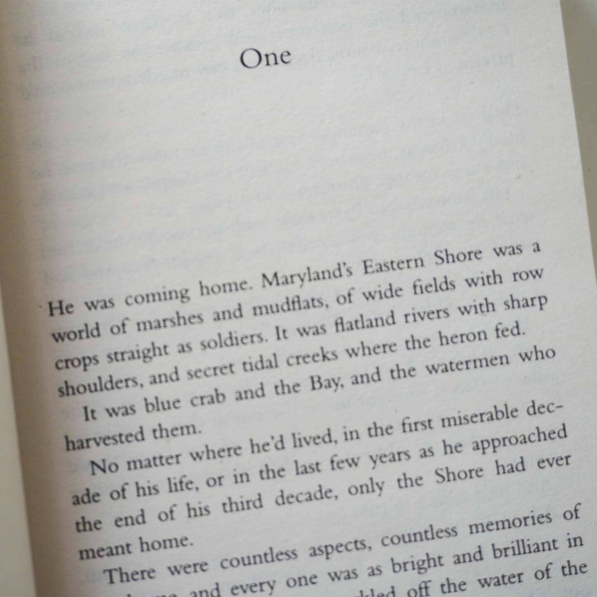 Chesapeake Bay Series 4 Books Collection Set By Nora Roberts - Fiction - Paperback