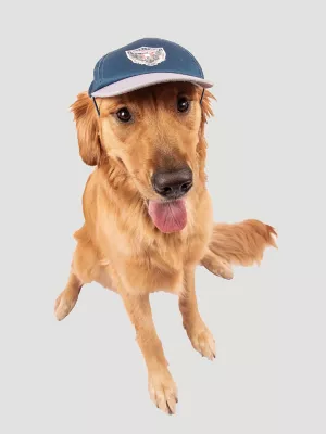 Eagle Logo Baseball Dog Cap:Navy:XL