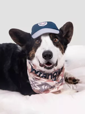 Eagle Logo Baseball Dog Cap:Navy:XS/S