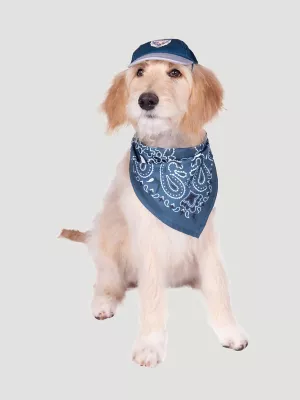 Eagle Logo Baseball Dog Cap:Navy:M/L