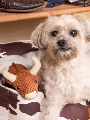 Cow Plush Dog Toy:Brown:One Size