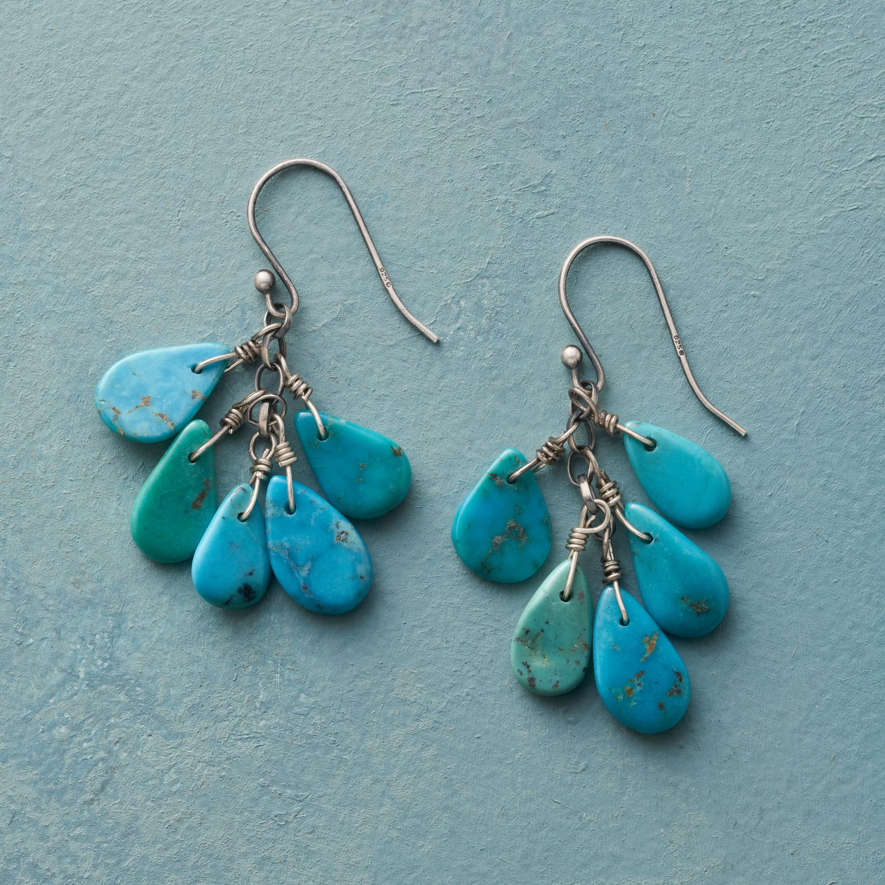 Cloudburst Earrings