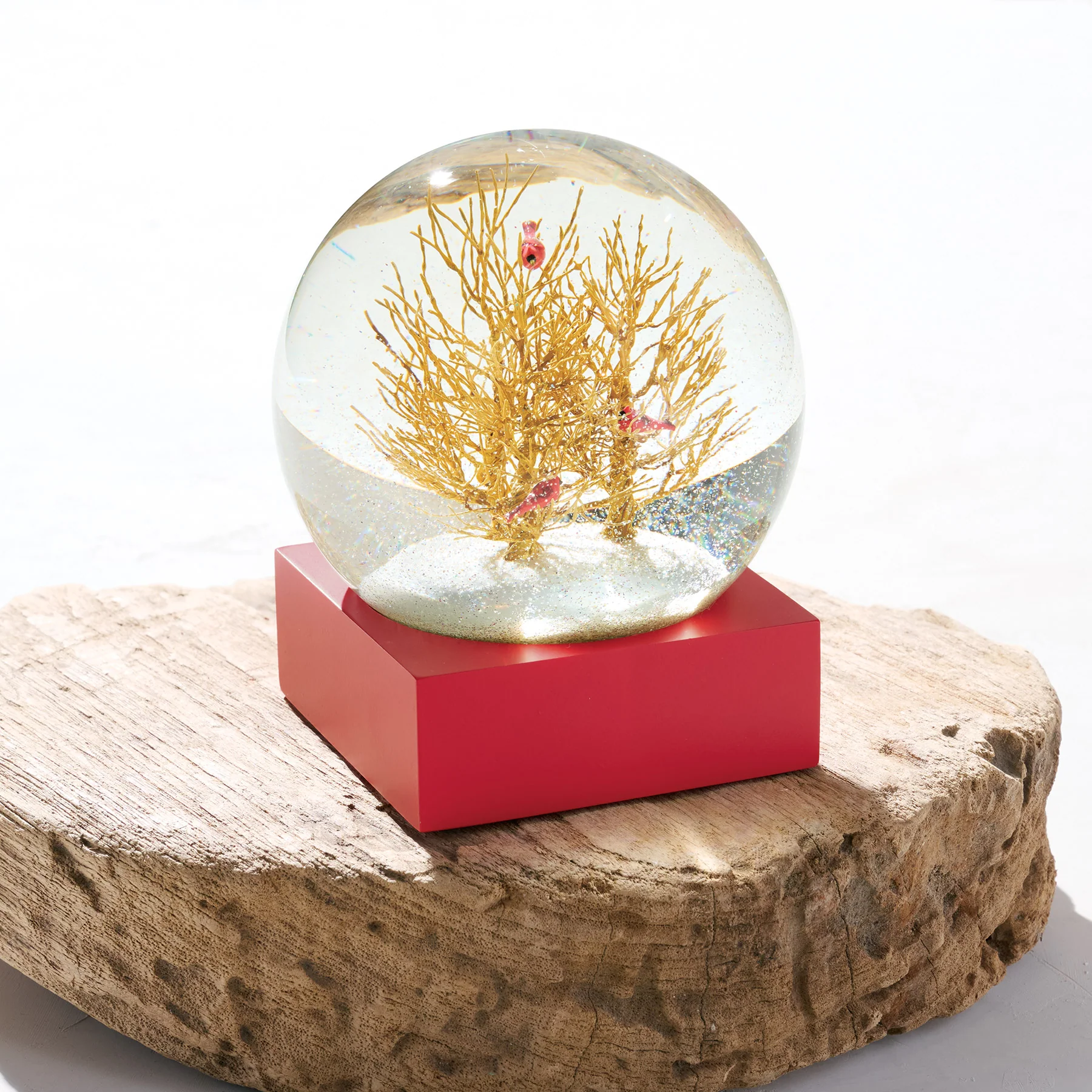 Winter Birds Snow Globe
