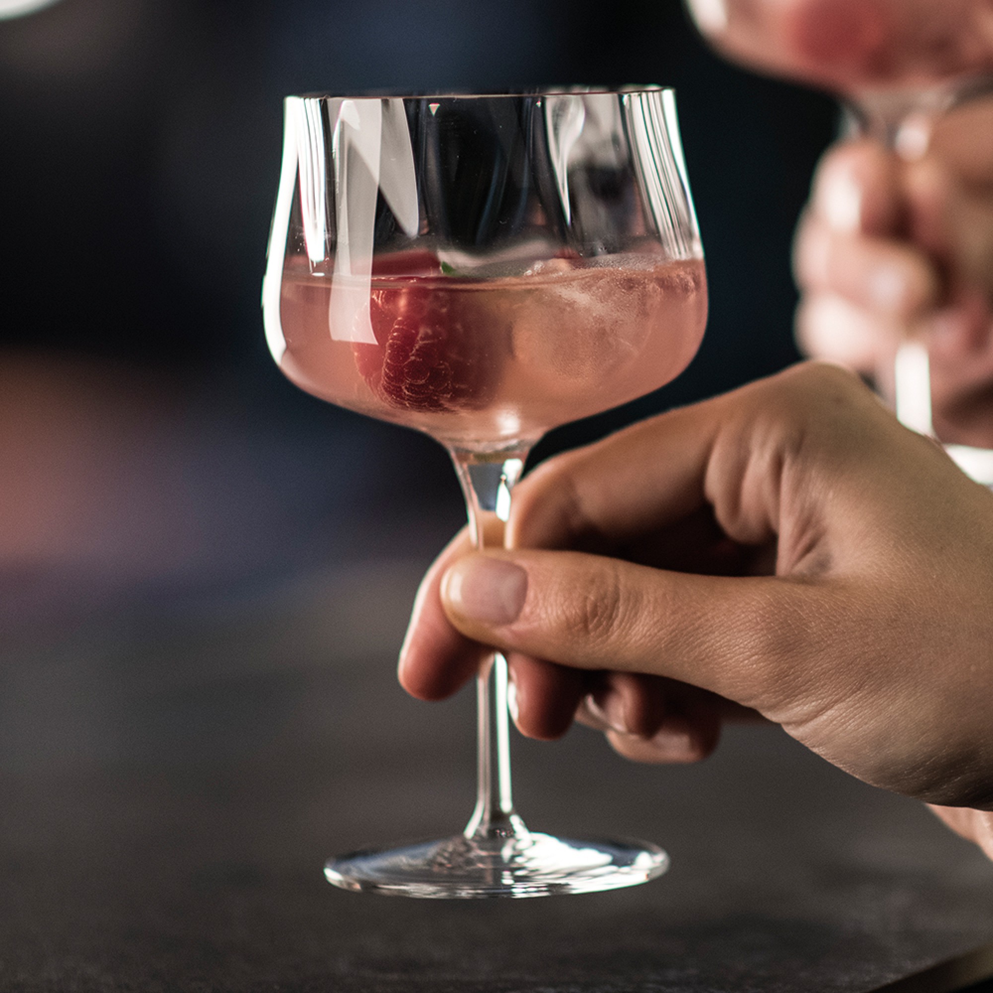 Schott Zwiesel Marlene Cocktail Glasses, Set of 2