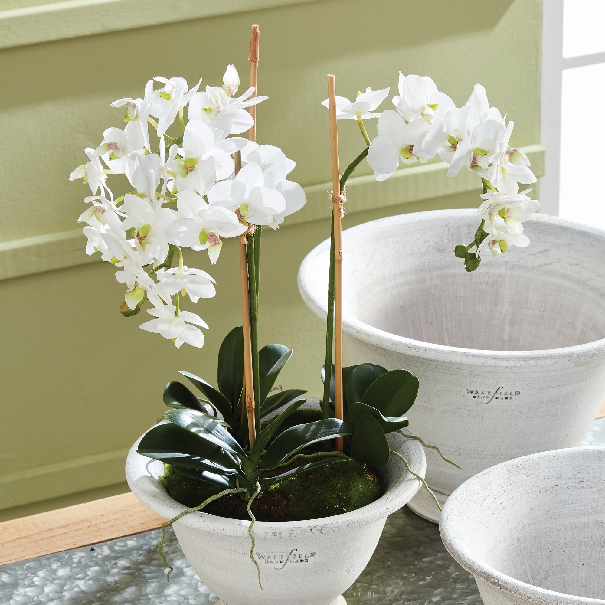 Faux Phalaenopsis Orchid Drop-In,16
