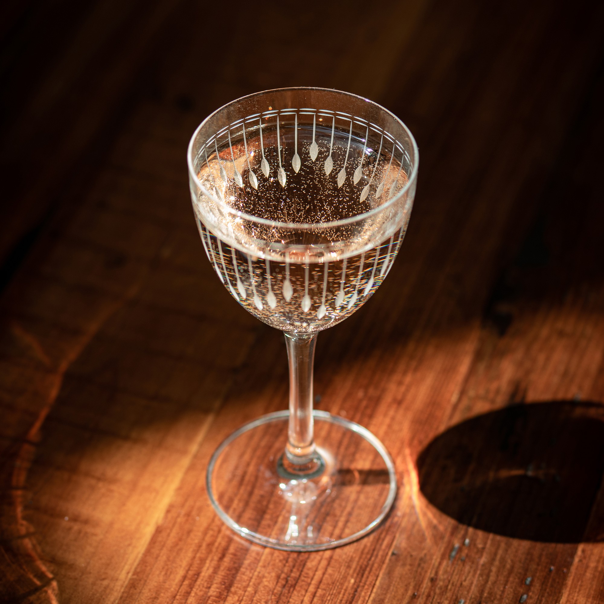 Schott Zwiesel Vanity Etched Nick and Nora Glasses, Set of 6