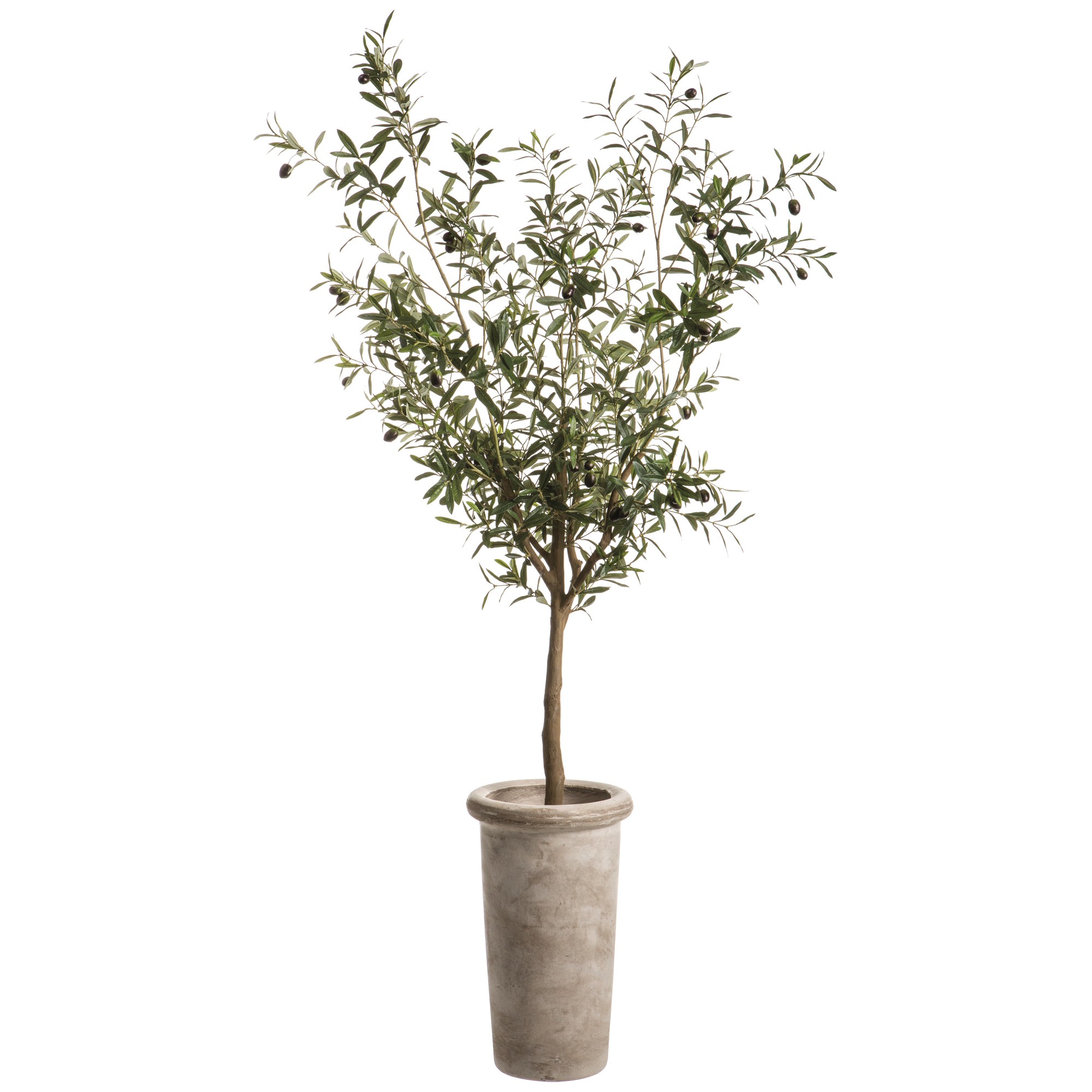 Faux Olive Tree in Cement Planter, 72