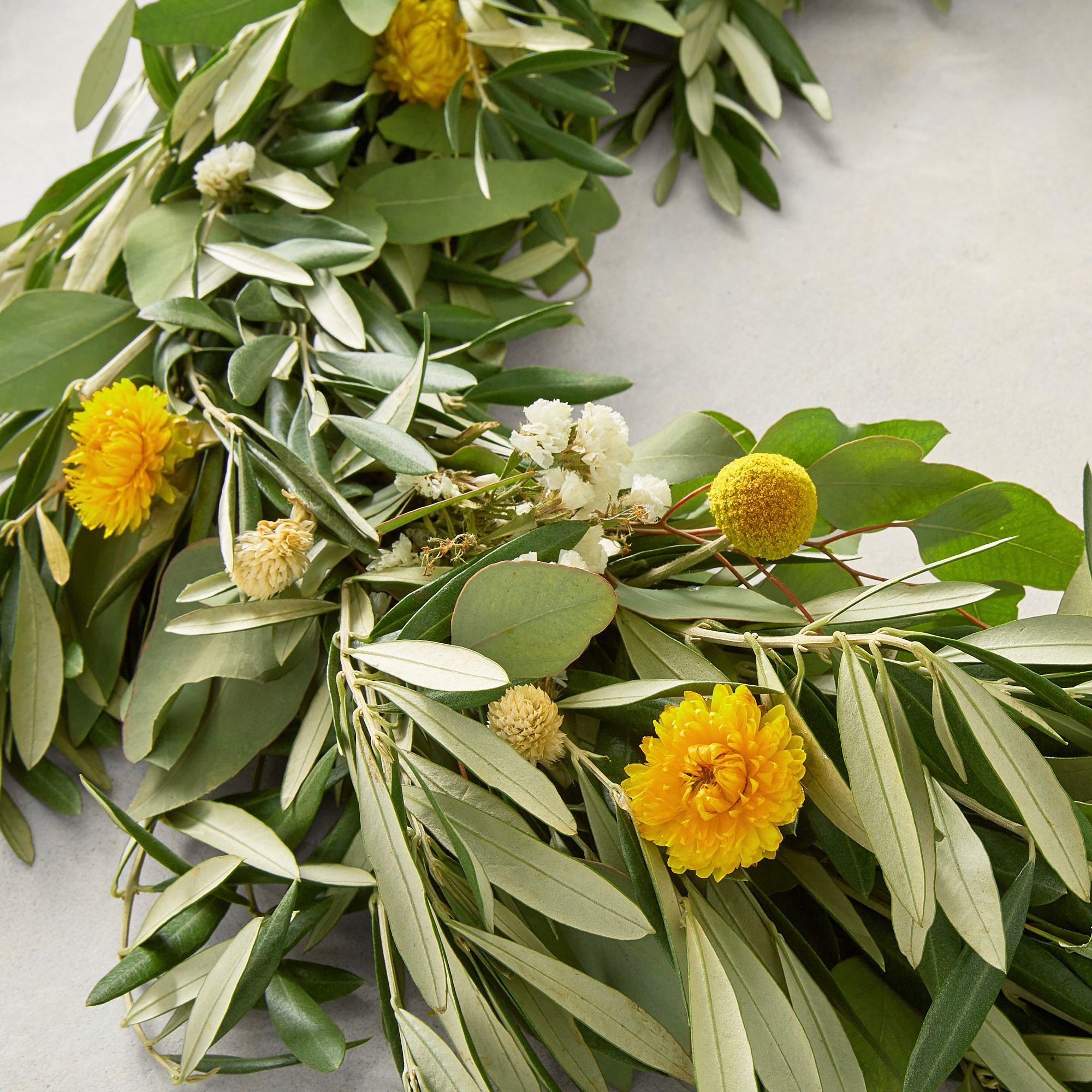 Olive Billy Button Live Garland, 6'