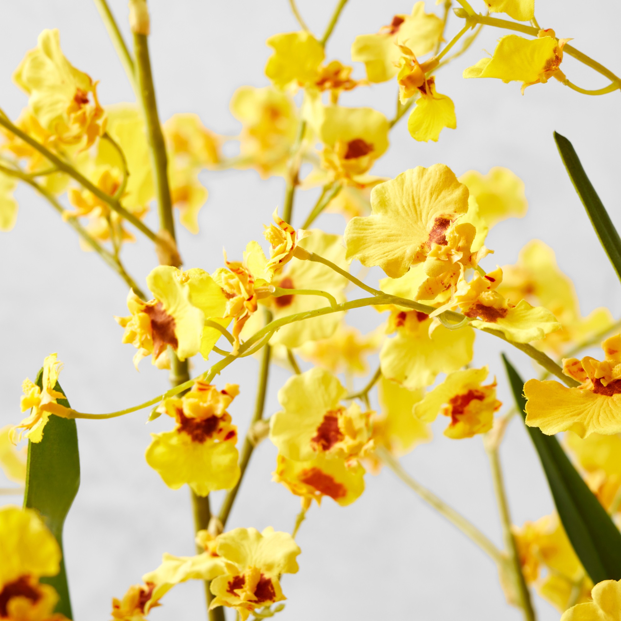 Jeff Leatham x Williams Sonoma Faux Dancing Oncidium Orchids in Tapered Bowl, 38