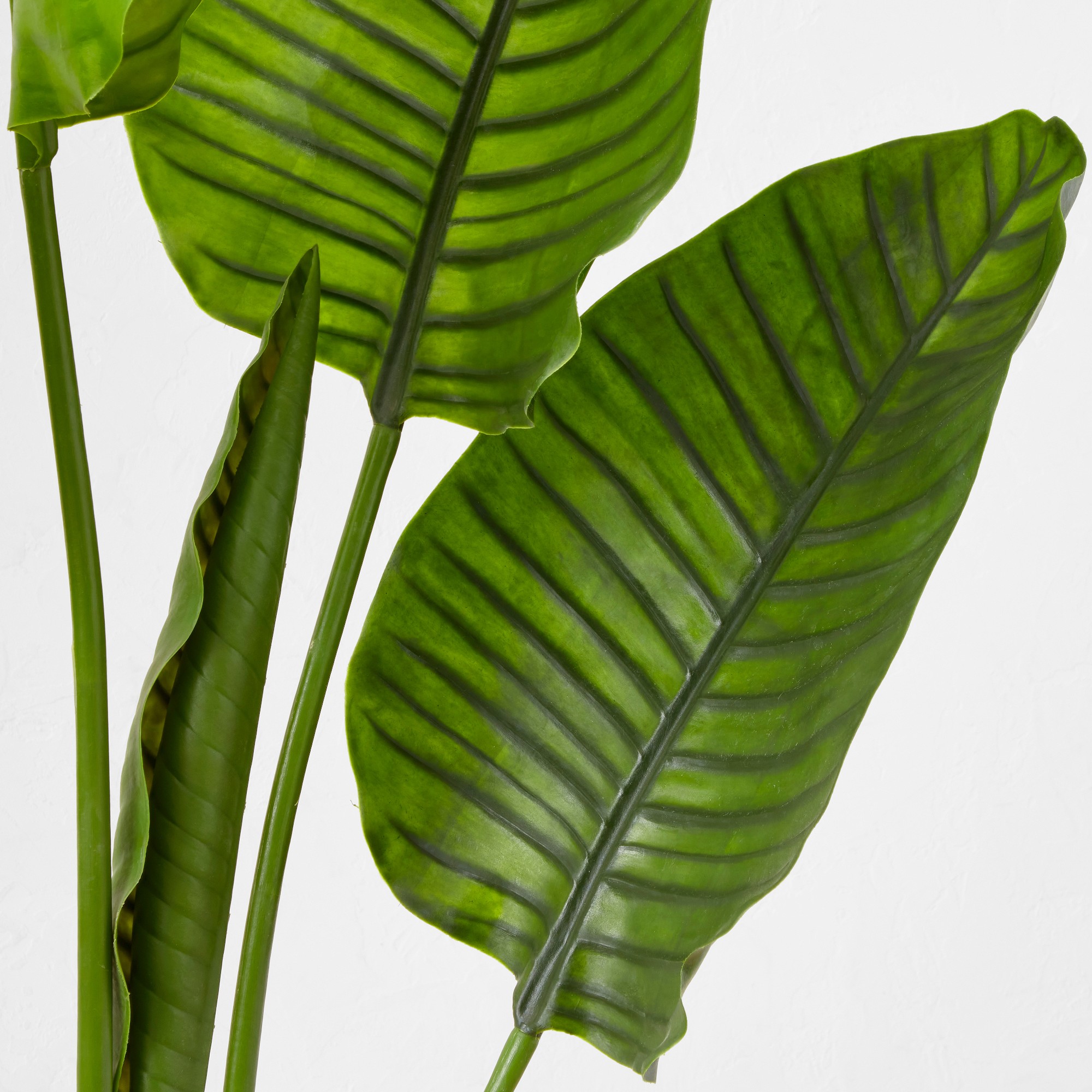 Faux Bird of Paradise Plant in Plastic Pot, 10 Leaves, 60