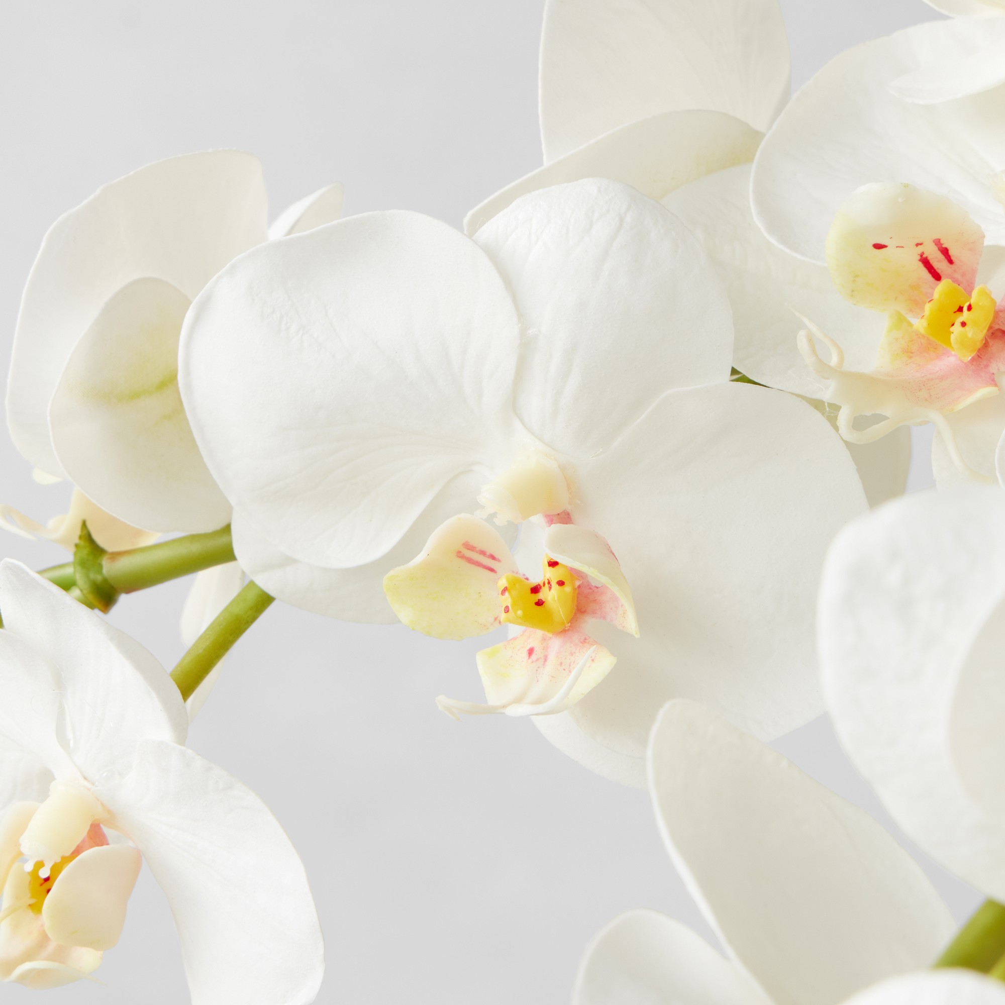 Faux Orchid Arrangement in Slim Vase