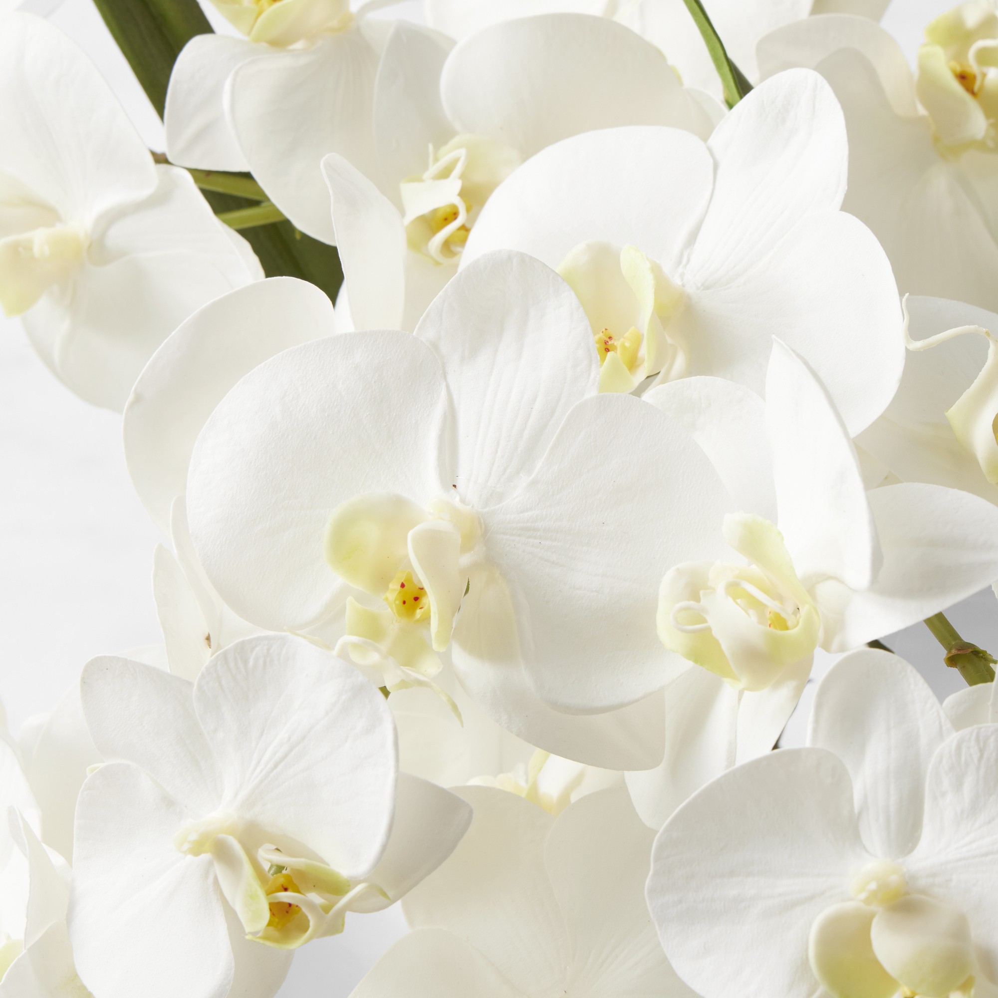 Faux White Orchid Phalaenopsis in Glass Vase