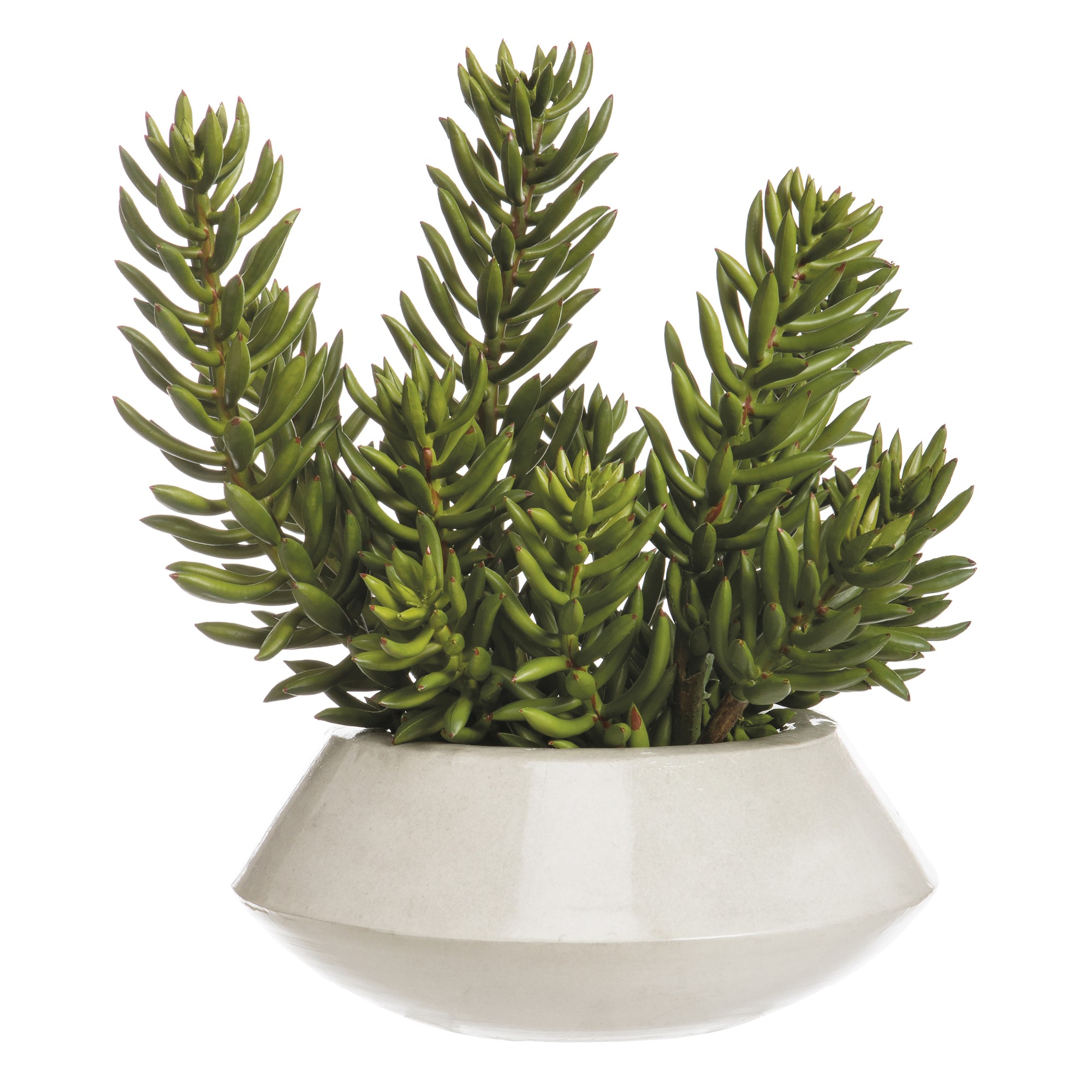 Faux Senecio Cactus in Planter, 15
