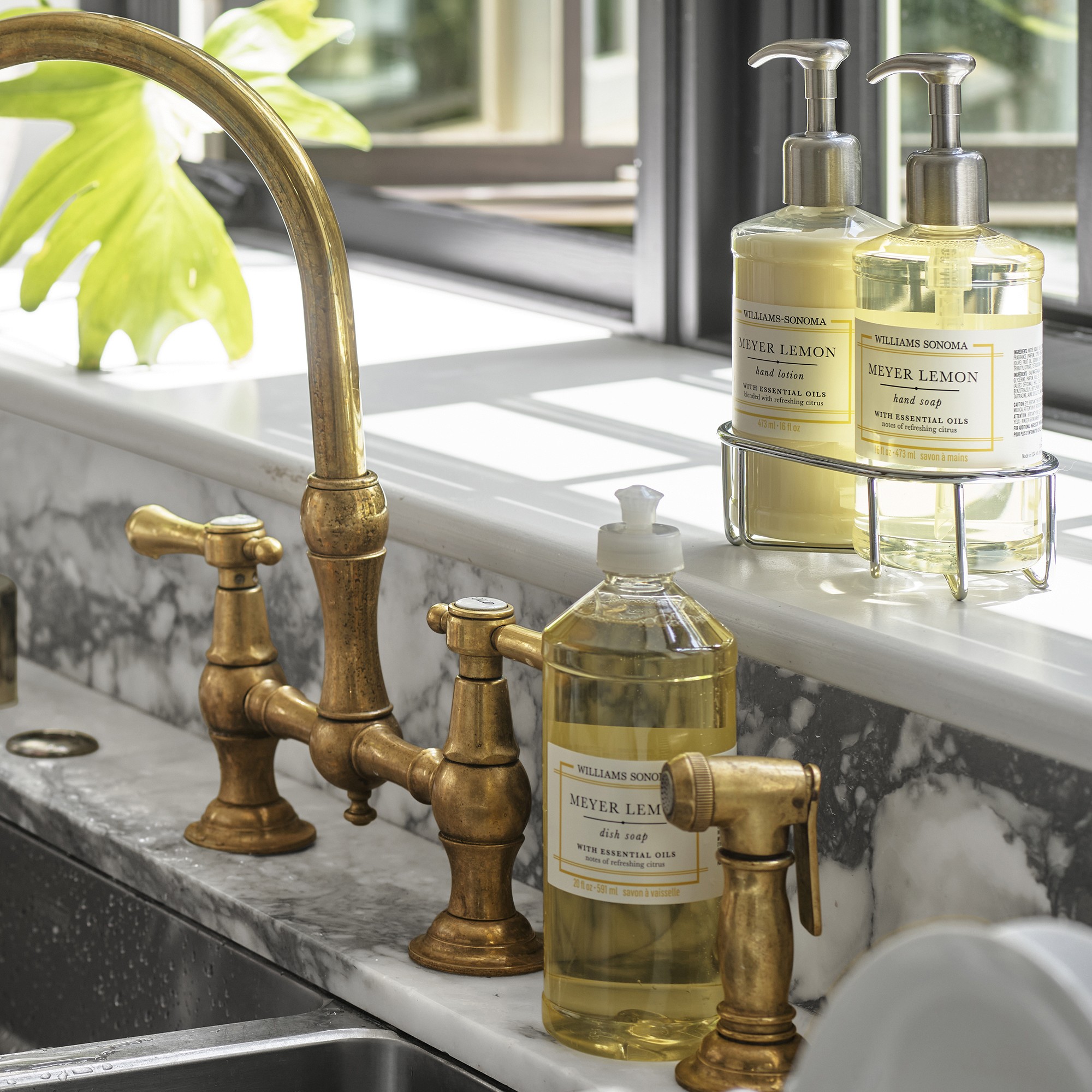 Williams Sonoma Meyer Lemon Hand Soap, Dish Soap & Lotion 4-Piece Kitchen Set