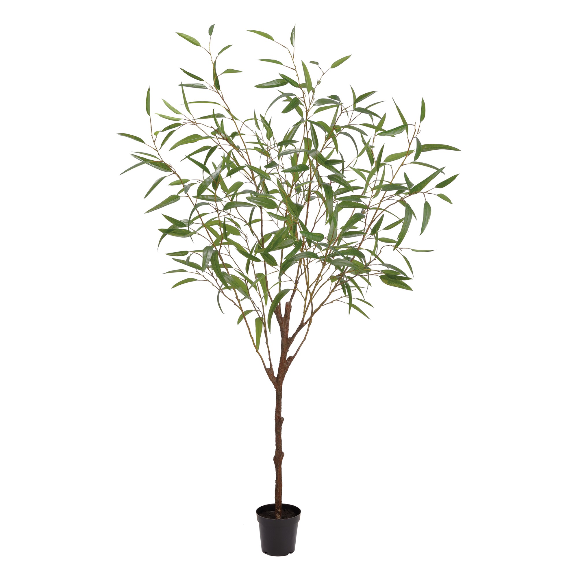 Faux Eucalyptus Tree in Pot, 70