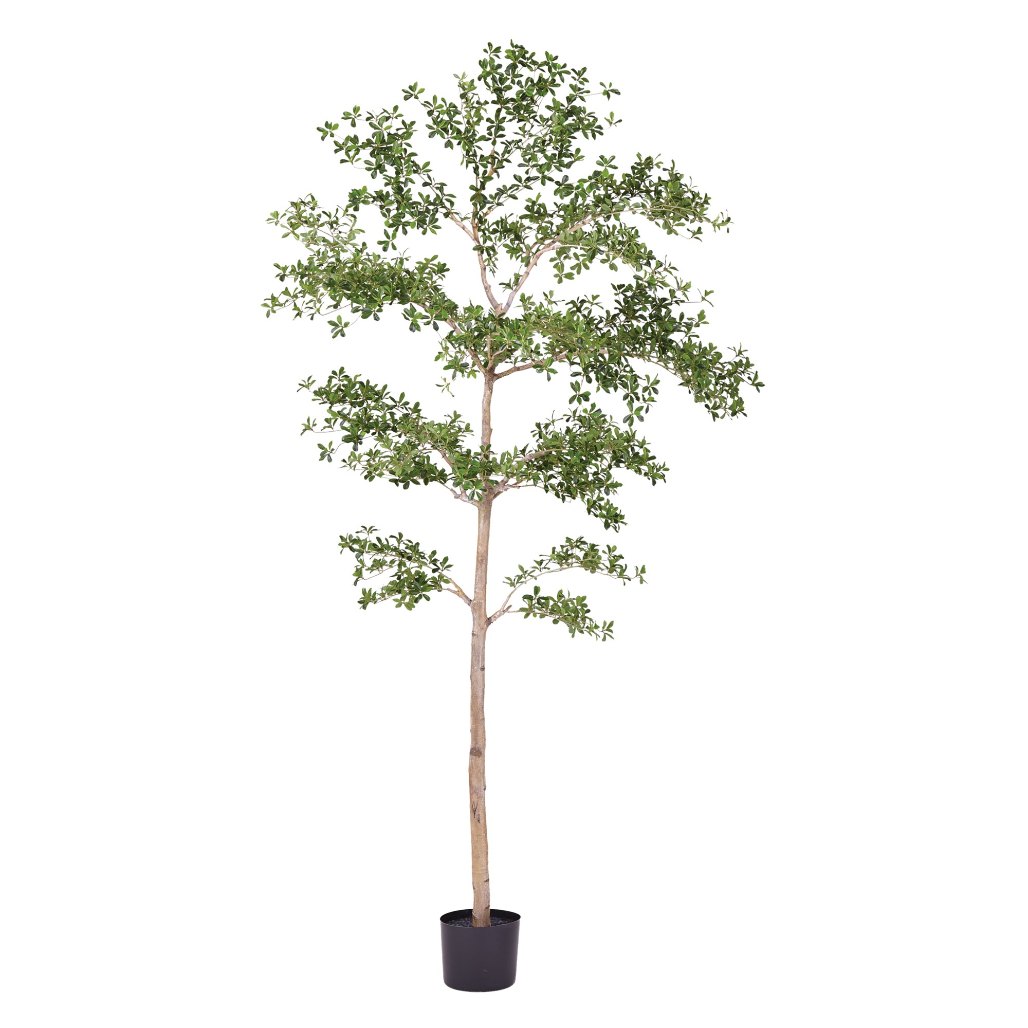 Faux Shady Lady Tree, 6'-9'