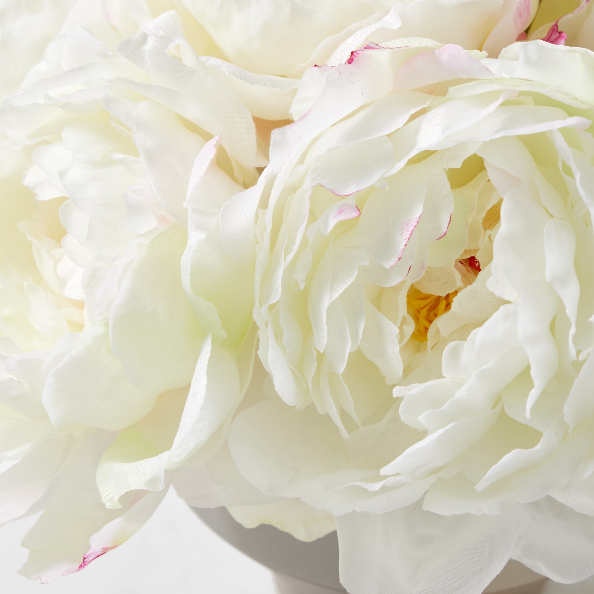 Jeff Leatham x Williams Sonoma Real Touch Faux White Peonies in Tapered Bowl