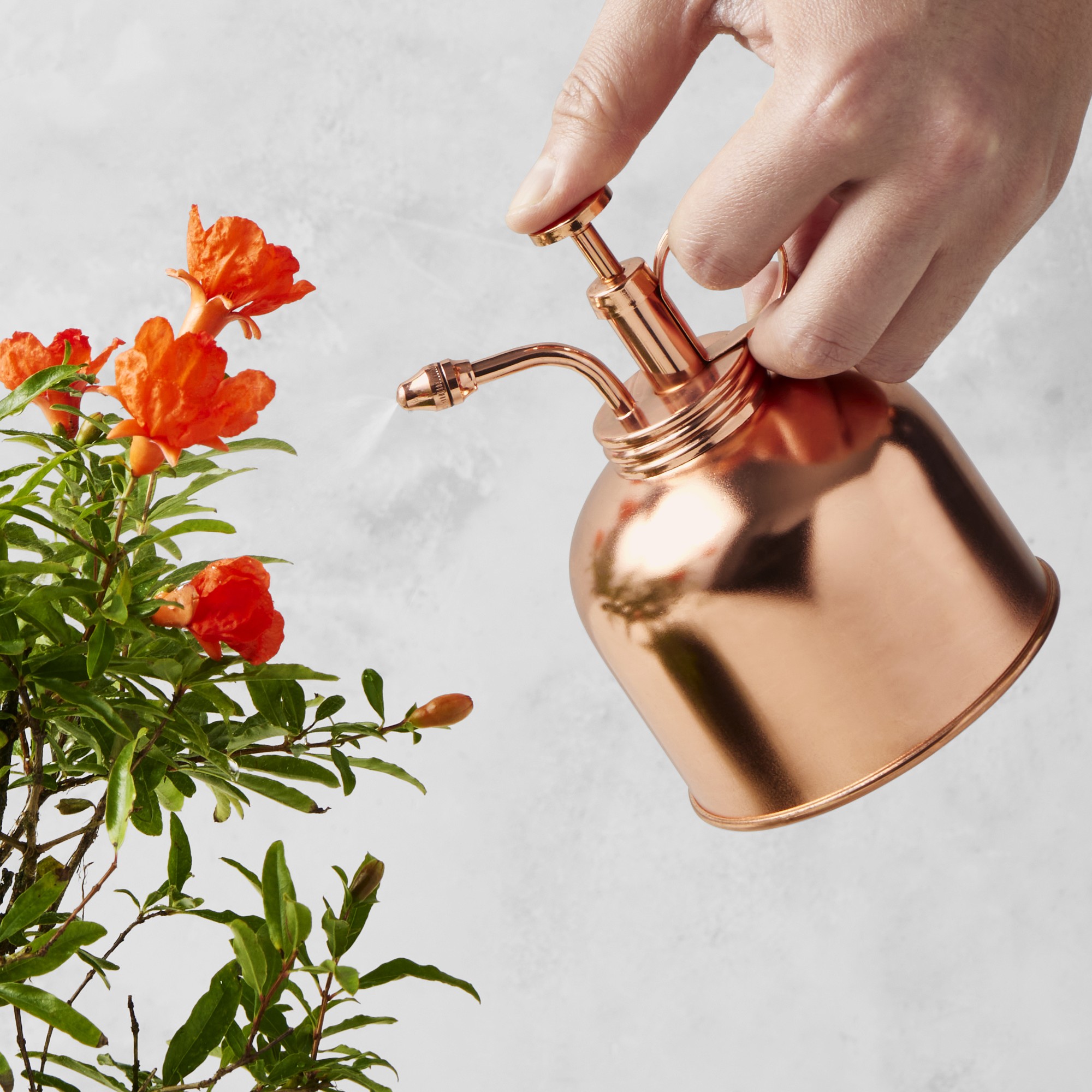 Williams Sonoma Plant Mister