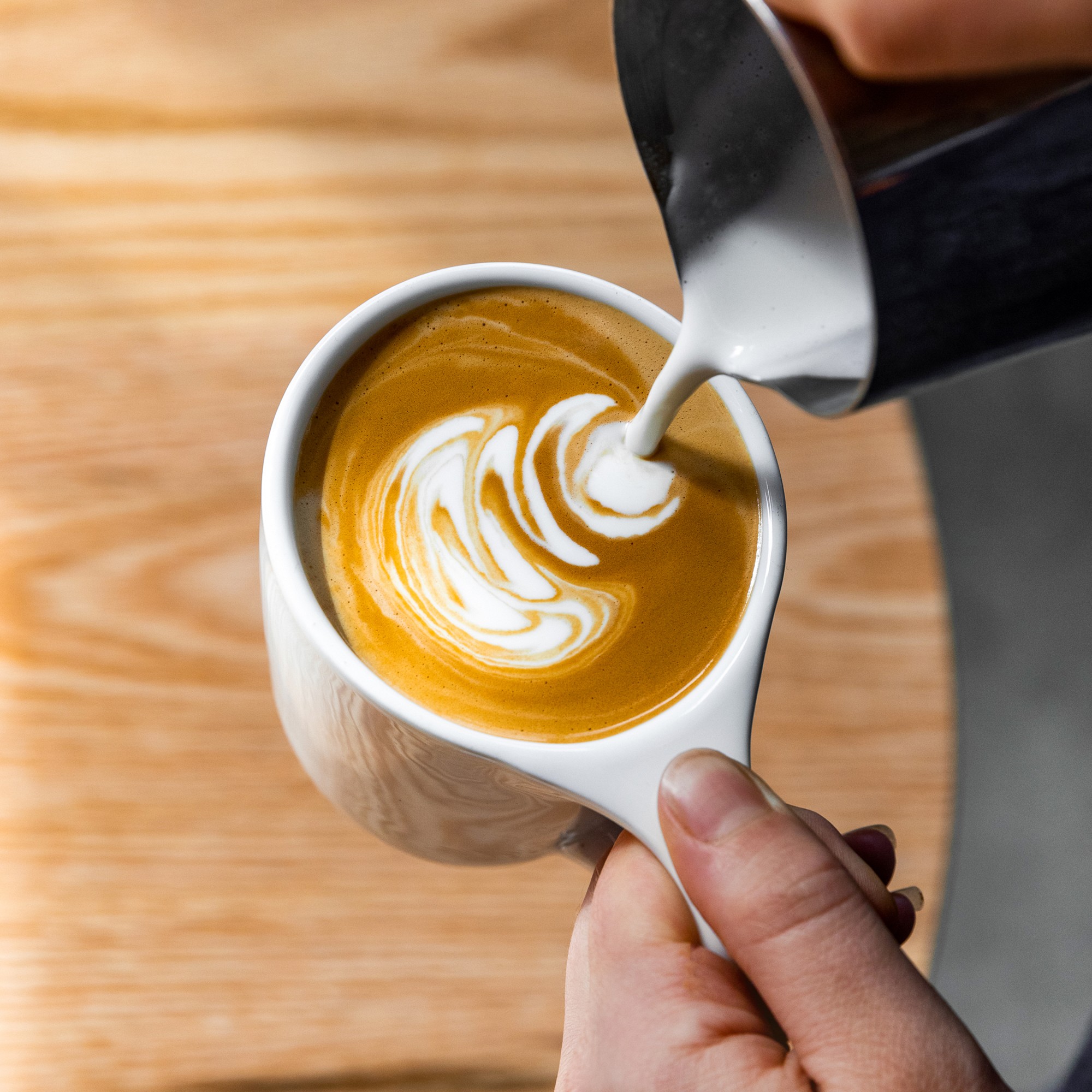 Equator Coffee Decaf Eye of The Tiger Espresso Blend Coffee Beans