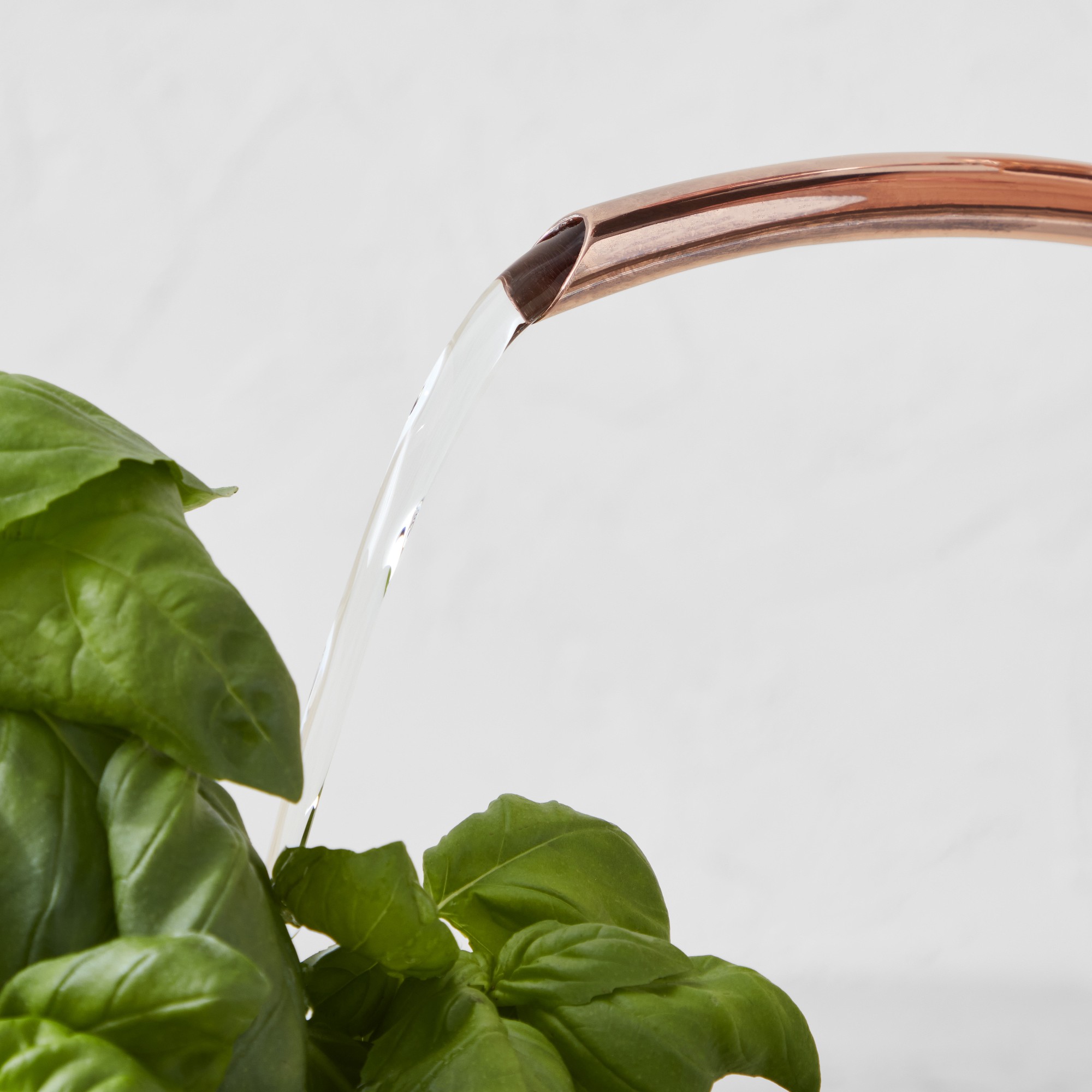 Williams Sonoma Tall Copper Watering Can