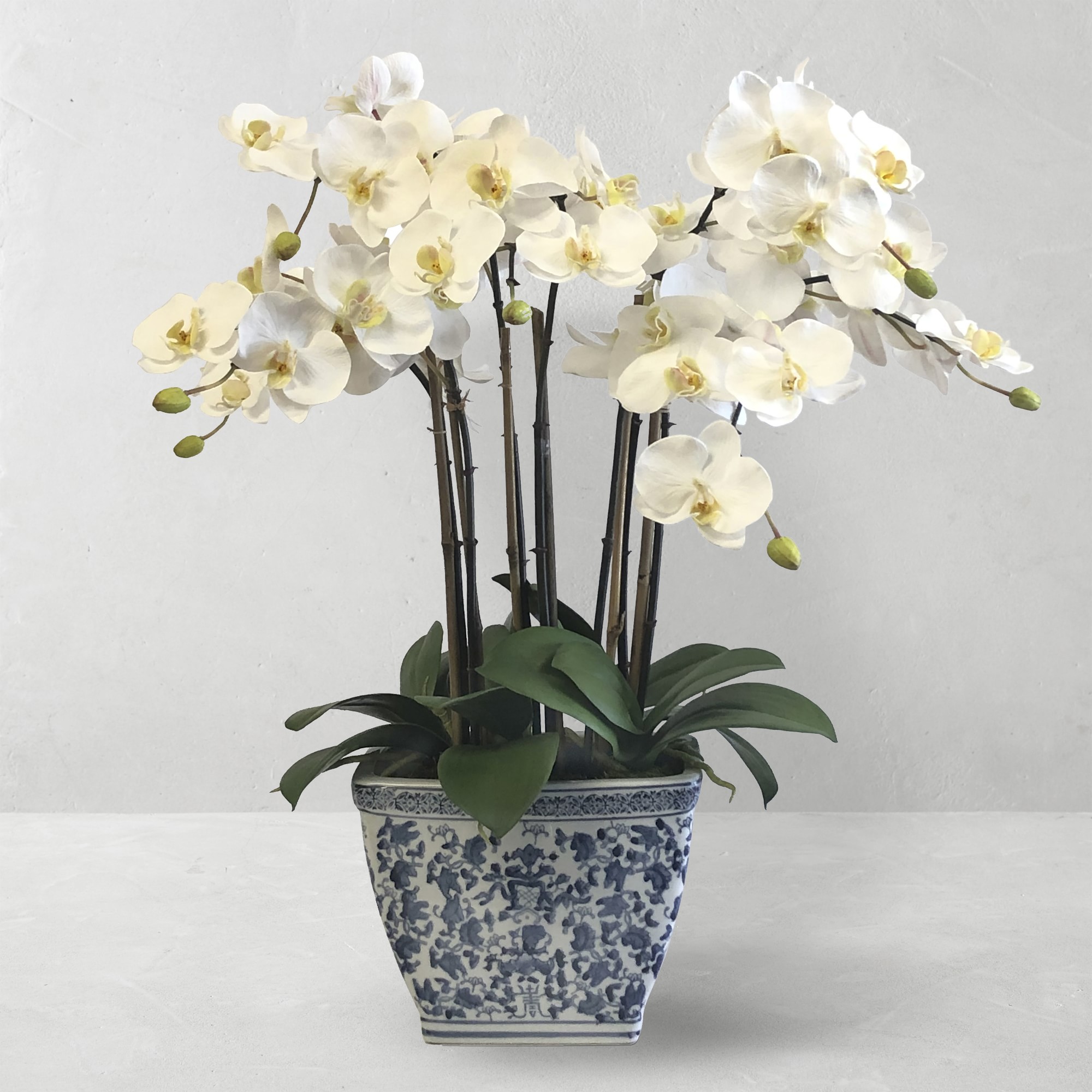 Faux Orchids in Cache Pot, 26