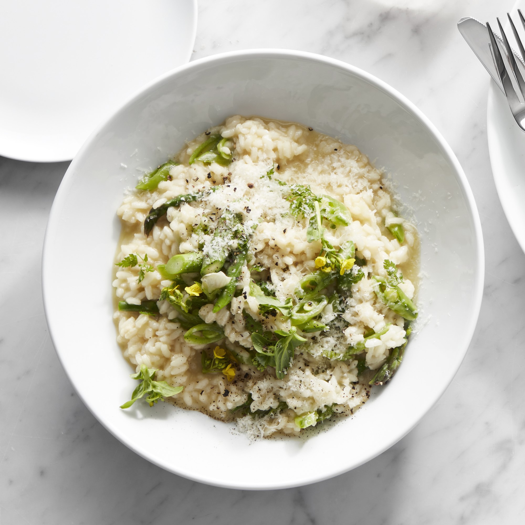 Pillivuyt Coupe Porcelain Soup/Pasta Bowls