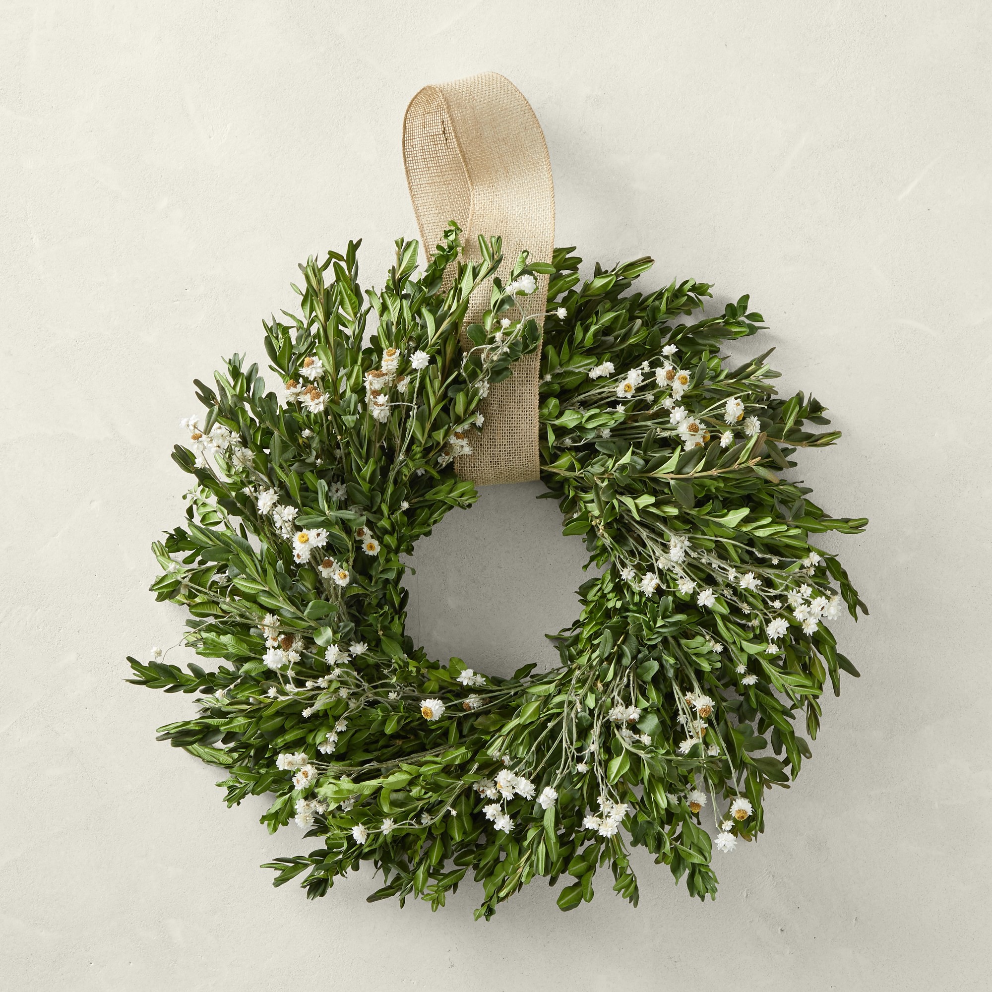 Field of Daisies Live Wreath, 20