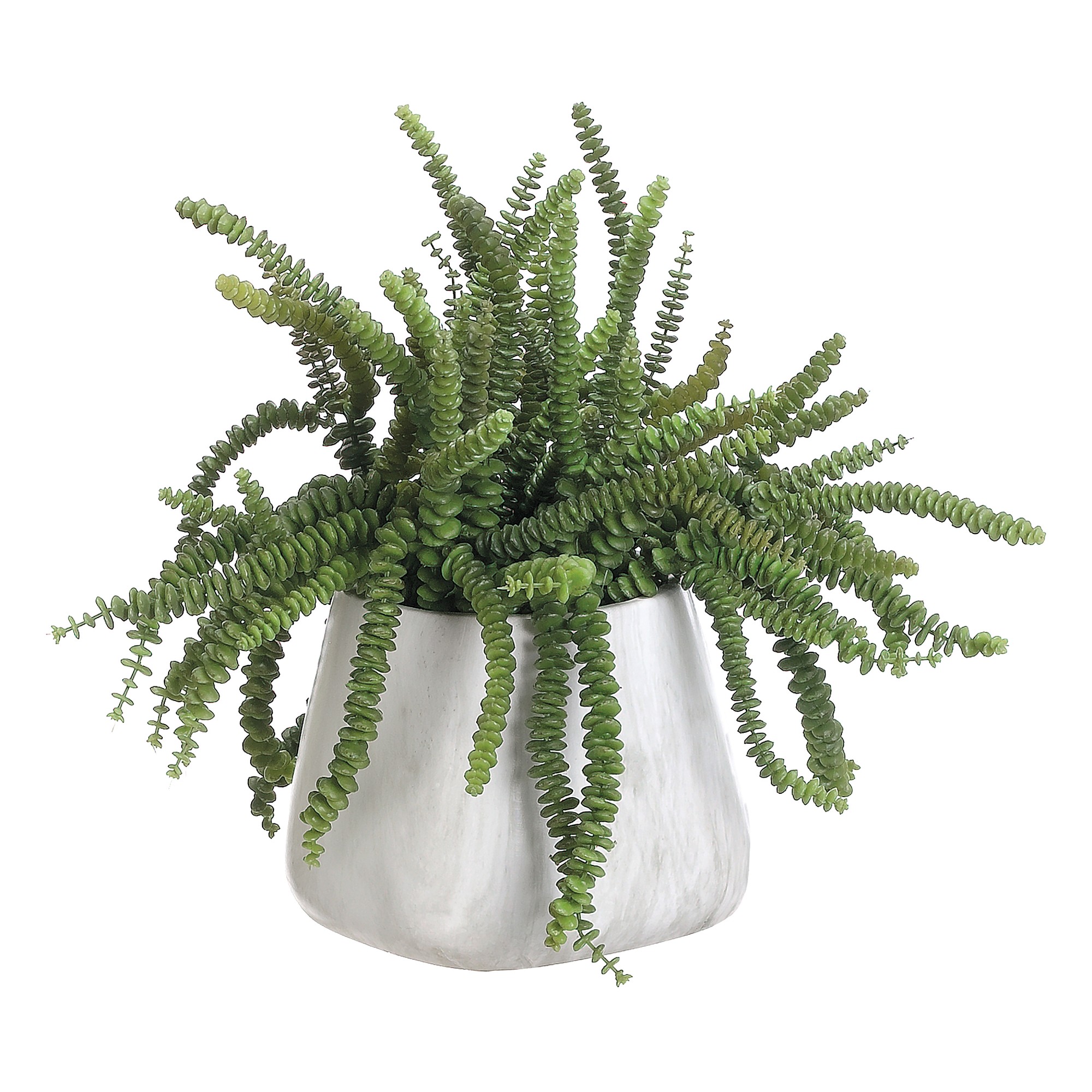 Faux Money Succulent, 17