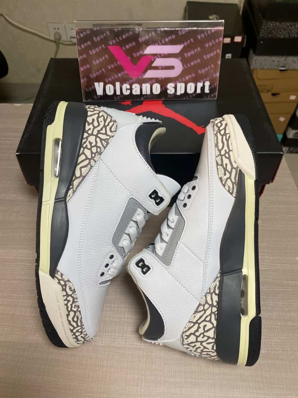 Jordan 3 Retro Hide N' Sneak DX6665-100