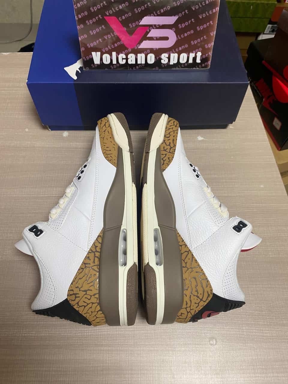 Jordan 3 Retro TS SP CT8532-120